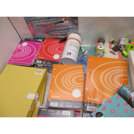 Palette 4436 articles bazar