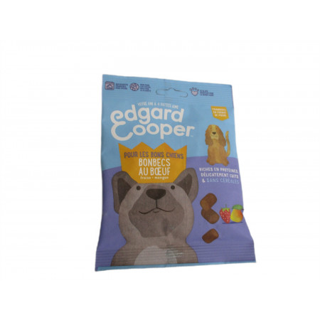 10 Friandises pour Chiot Chien