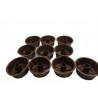 10 moules a savarin a 2€