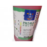 10 PEINTURES GOUACHE