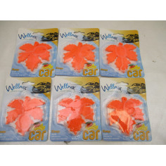6 Parfums voitures mangue