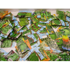 400 Poches de graines