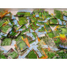400 Poches de graines