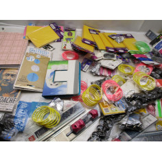 Palette 670 articles bazar