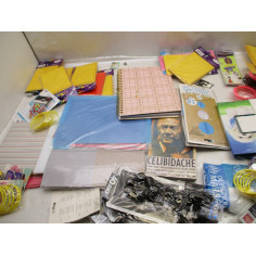 Palette 670 articles bazar