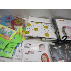 Palette 788 articles bazar