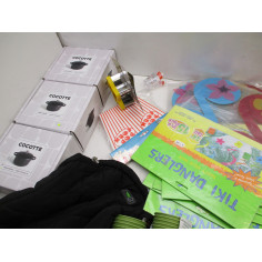 Palette 788 articles bazar