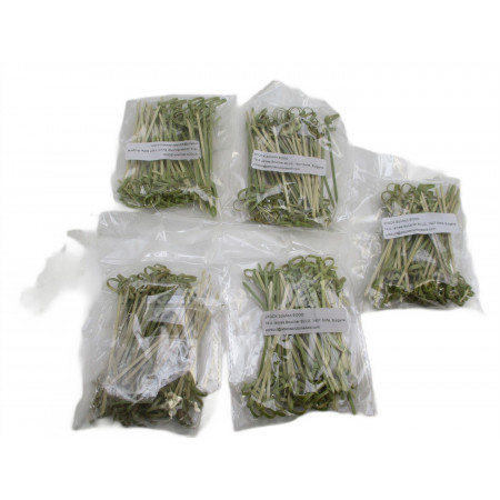 5 Packs de baguettes cocktails