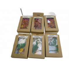 6 Fleurs sechees loisir...