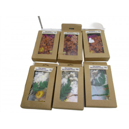 6 Fleurs sechees loisir creatif