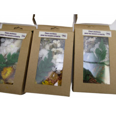 6 Fleurs sechees loisir creatif