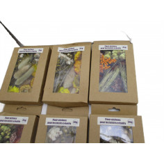 9 Fleurs sechees loisir creatif